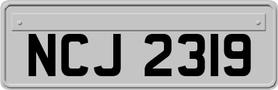 NCJ2319
