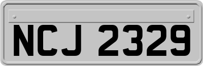 NCJ2329