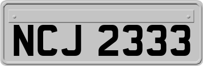 NCJ2333