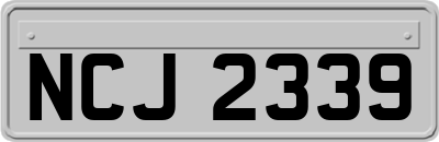 NCJ2339