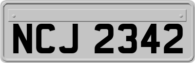 NCJ2342