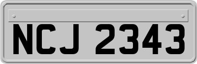 NCJ2343