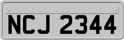 NCJ2344