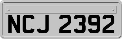 NCJ2392