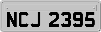 NCJ2395