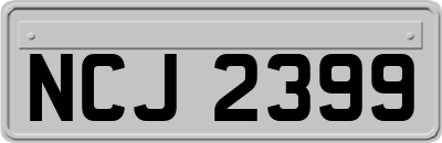 NCJ2399