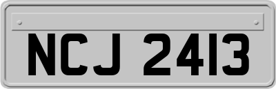NCJ2413
