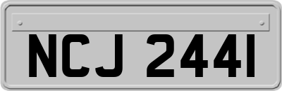 NCJ2441