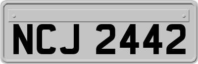 NCJ2442
