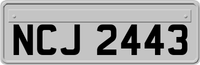 NCJ2443