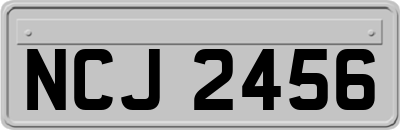 NCJ2456