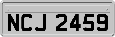 NCJ2459