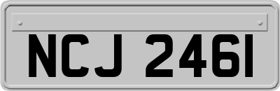 NCJ2461