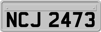 NCJ2473