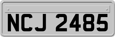 NCJ2485
