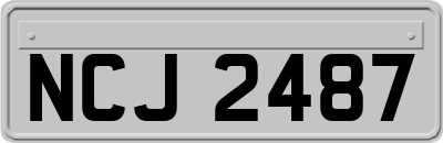 NCJ2487