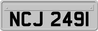 NCJ2491