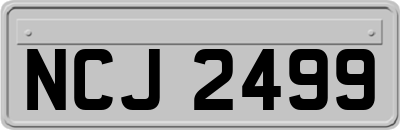 NCJ2499