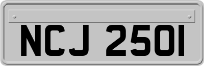 NCJ2501
