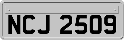 NCJ2509