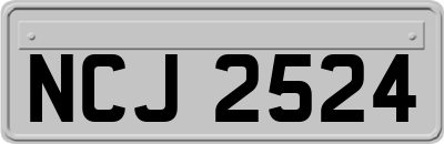 NCJ2524