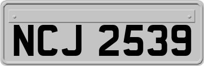 NCJ2539