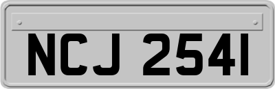 NCJ2541