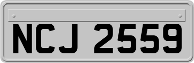 NCJ2559