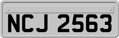 NCJ2563