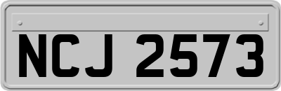 NCJ2573