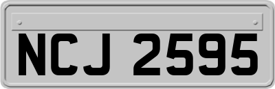 NCJ2595