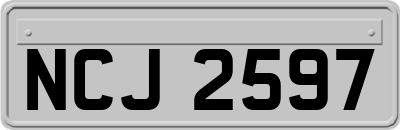 NCJ2597