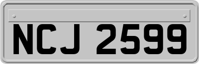 NCJ2599