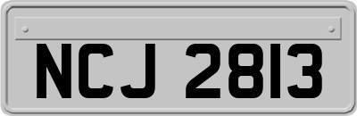 NCJ2813