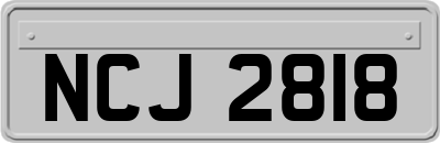 NCJ2818