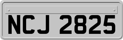 NCJ2825