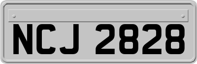 NCJ2828