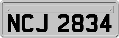 NCJ2834