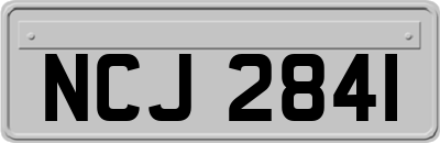 NCJ2841