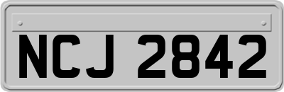 NCJ2842