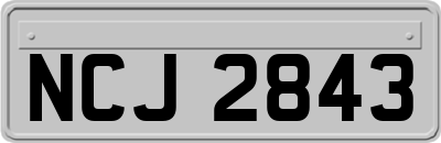 NCJ2843