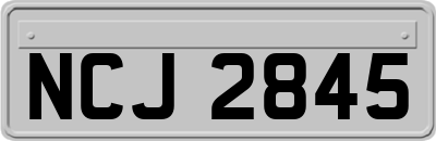NCJ2845