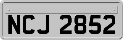 NCJ2852