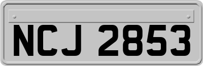 NCJ2853