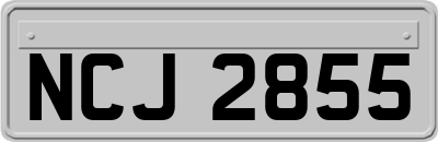 NCJ2855