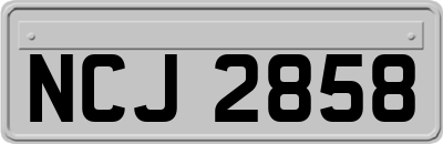 NCJ2858