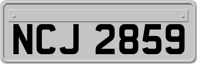 NCJ2859