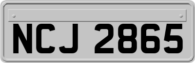 NCJ2865