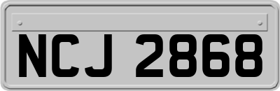 NCJ2868