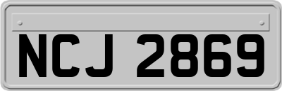 NCJ2869
